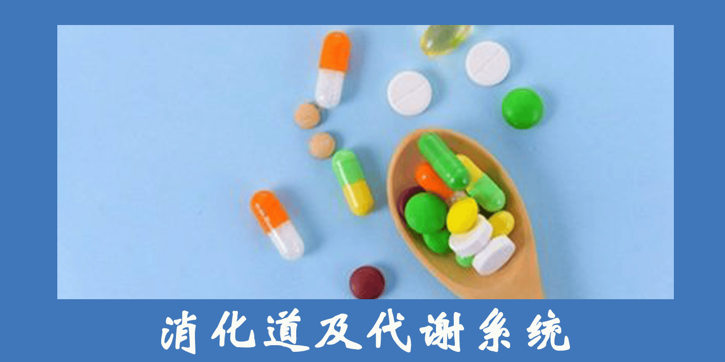 消化道及代谢系统