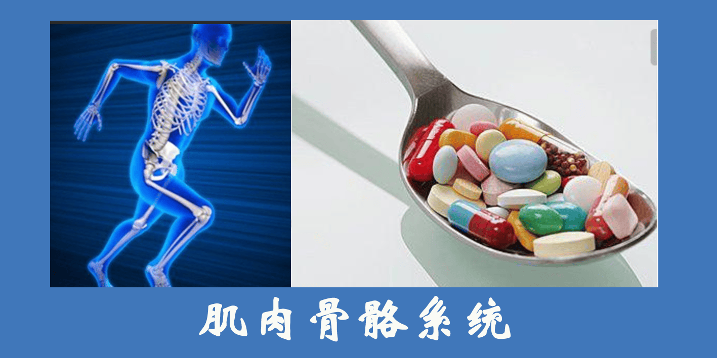 肌肉骨骼系统